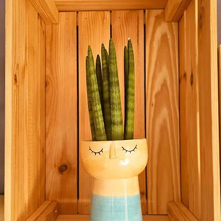 Apartment Blue Oasis